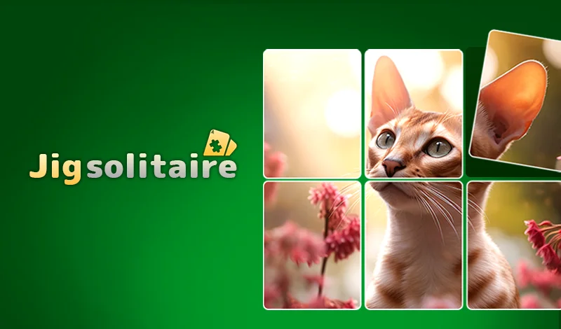Jigsolitaire